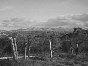 Fara Sabina Fara Sabina